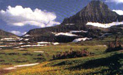 Glacier National Park - Montana