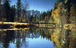 Mercedriver - Yosemitetal - Californien