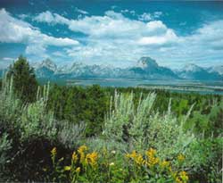 Blick vom Signal Hill auf die Gipfel der Teton Range - Wyoming